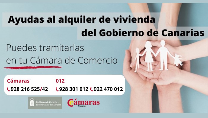 Ayudas Al Alquiler De Vivienda Del Gobierno De Canarias C Mara De